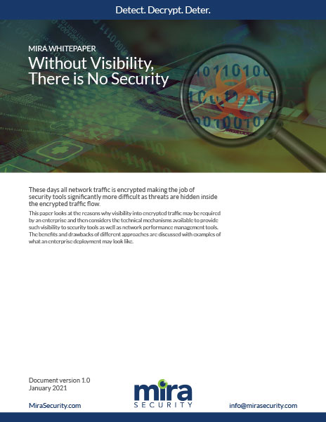Mira Security Without Visibility Whitepaper